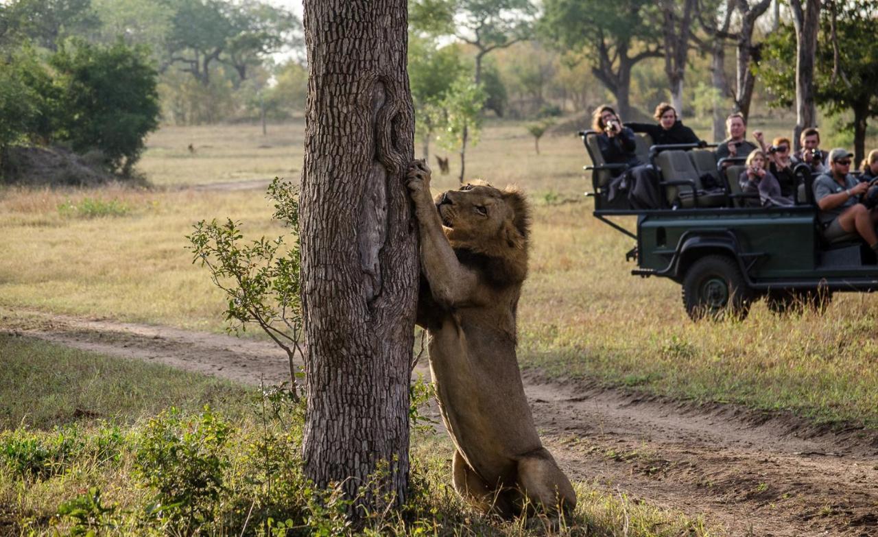 Umkumbe Safari Lodge Riverside Скукуза Екстериор снимка